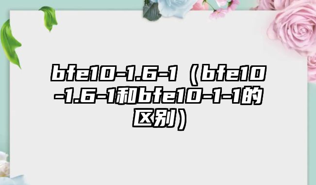 bfe10-1.6-1（bfe10-1.6-1和bfe10-1-1的區(qū)別）