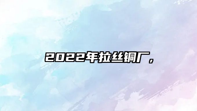 2022年拉絲銅廠,