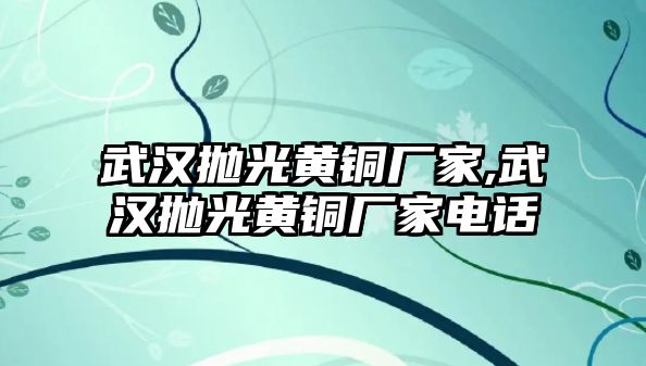 武漢拋光黃銅廠家,武漢拋光黃銅廠家電話