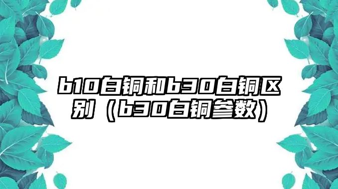 b10白銅和b30白銅區(qū)別（b30白銅參數(shù)）