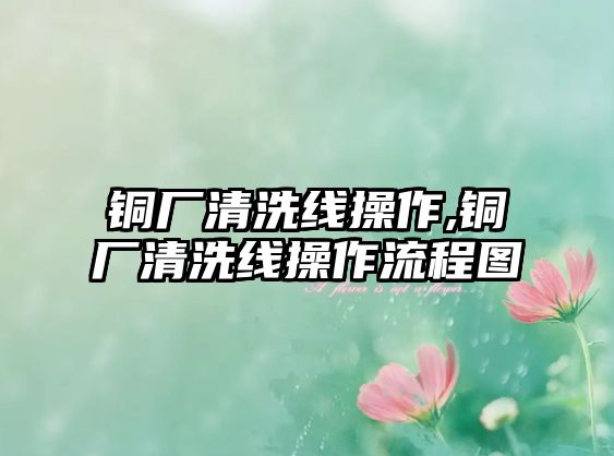 銅廠清洗線操作,銅廠清洗線操作流程圖