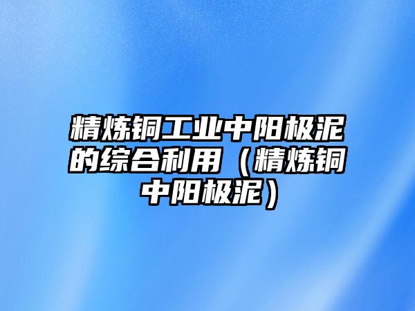 精煉銅工業(yè)中陽(yáng)極泥的綜合利用（精煉銅中陽(yáng)極泥）