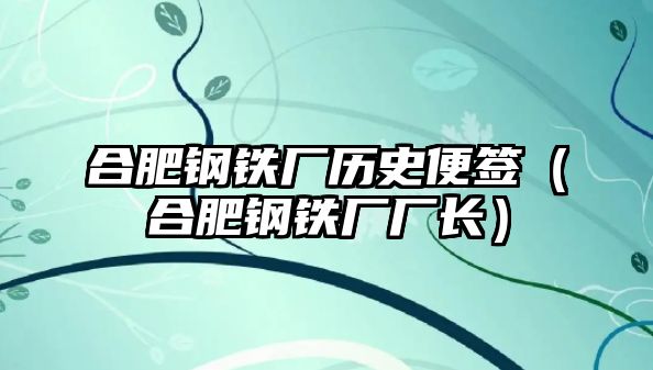 合肥鋼鐵廠歷史便簽（合肥鋼鐵廠廠長）