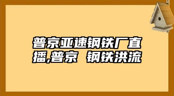 普京亞速鋼鐵廠直播,普京 鋼鐵洪流