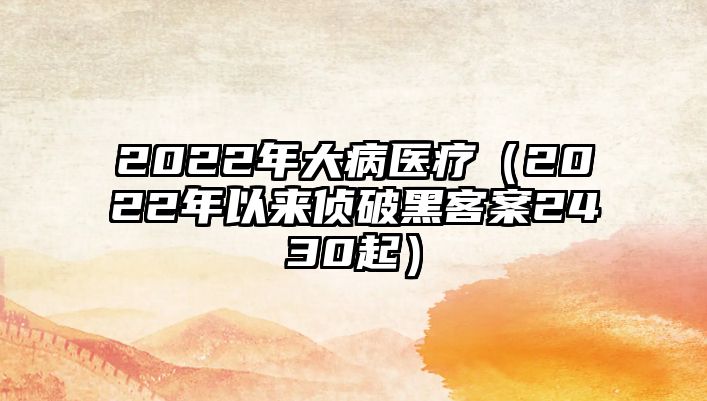 2022年大病醫(yī)療（2022年以來偵破黑客案2430起）