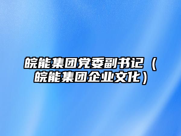 皖能集團(tuán)黨委副書(shū)記（皖能集團(tuán)企業(yè)文化）