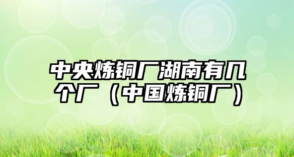 中央煉銅廠湖南有幾個廠（中國煉銅廠）