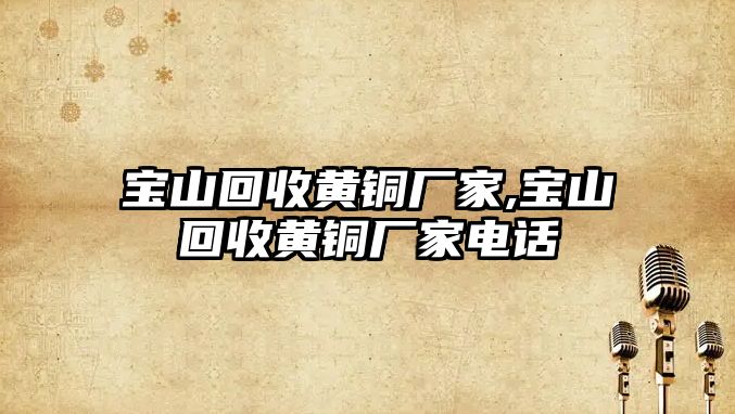 寶山回收黃銅廠家,寶山回收黃銅廠家電話