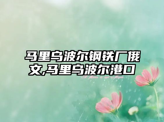 馬里烏波爾鋼鐵廠俄文,馬里烏波爾港口