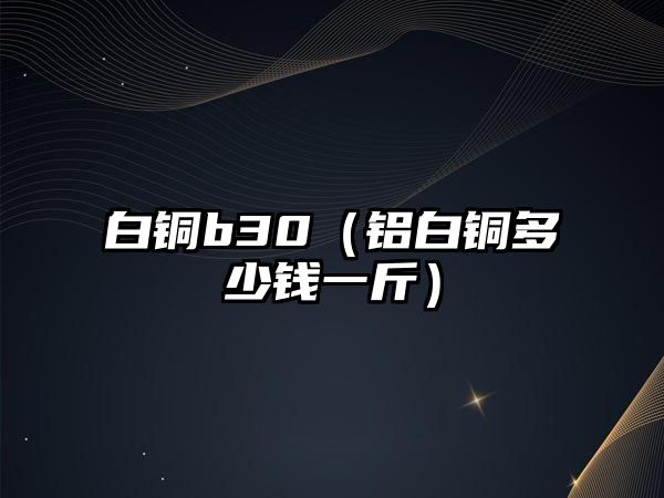 白銅b30（鋁白銅多少錢一斤）