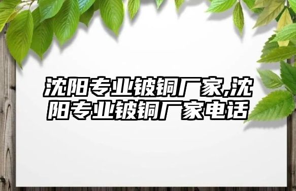 沈陽專業(yè)鈹銅廠家,沈陽專業(yè)鈹銅廠家電話