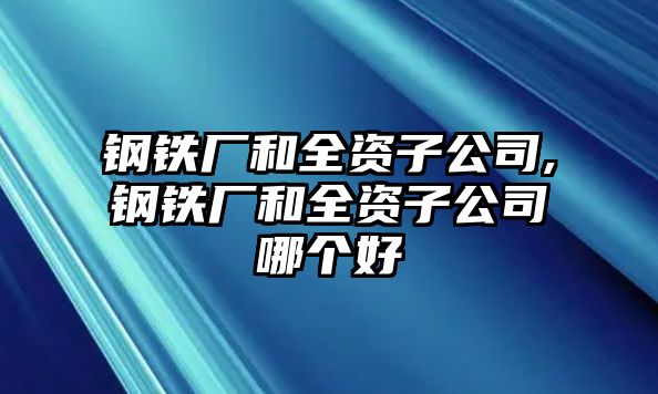 鋼鐵廠和全資子公司,鋼鐵廠和全資子公司哪個好