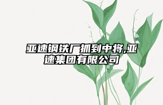 亞速鋼鐵廠抓到中將,亞速集團有限公司