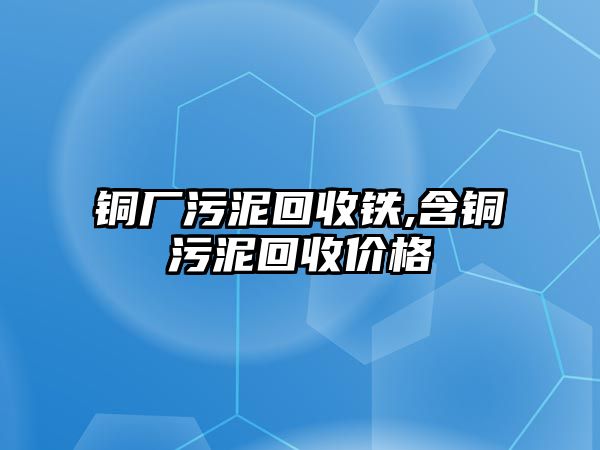 銅廠污泥回收鐵,含銅污泥回收價(jià)格