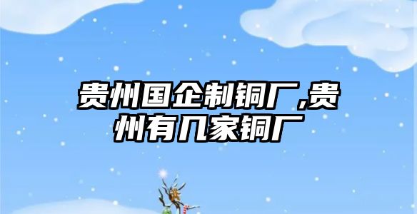 貴州國(guó)企制銅廠,貴州有幾家銅廠