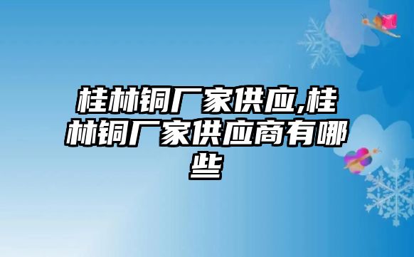 桂林銅廠家供應(yīng),桂林銅廠家供應(yīng)商有哪些