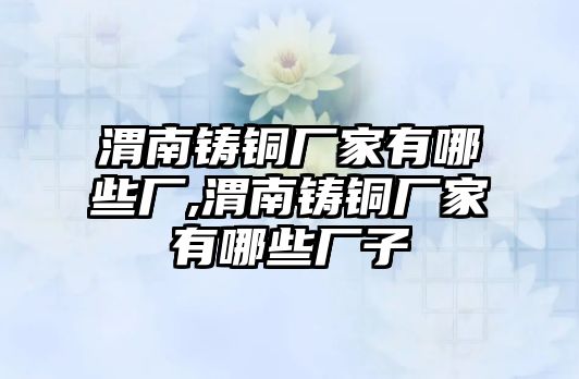 渭南鑄銅廠家有哪些廠,渭南鑄銅廠家有哪些廠子