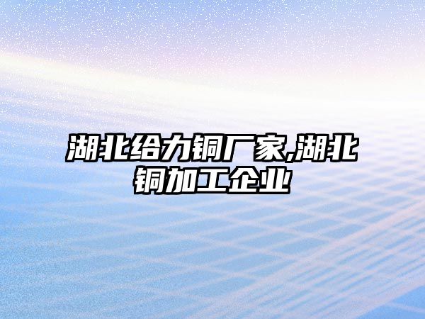 湖北給力銅廠家,湖北銅加工企業(yè)