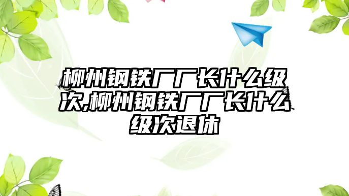 柳州鋼鐵廠廠長什么級(jí)次,柳州鋼鐵廠廠長什么級(jí)次退休