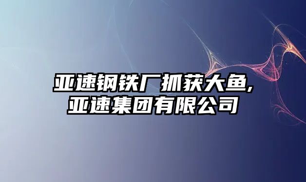 亞速鋼鐵廠抓獲大魚,亞速集團(tuán)有限公司