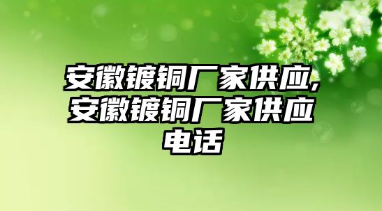 安徽鍍銅廠家供應(yīng),安徽鍍銅廠家供應(yīng)電話