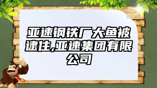 亞速鋼鐵廠大魚(yú)被逮住,亞速集團(tuán)有限公司