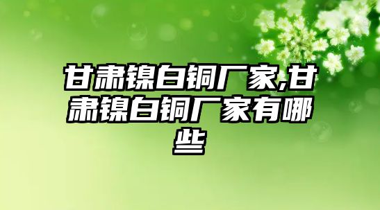 甘肅鎳白銅廠家,甘肅鎳白銅廠家有哪些