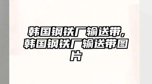 韓國(guó)鋼鐵廠輸送帶,韓國(guó)鋼鐵廠輸送帶圖片