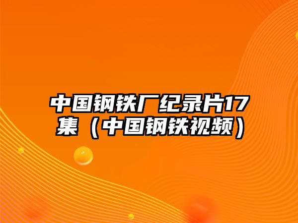 中國鋼鐵廠紀(jì)錄片17集（中國鋼鐵視頻）