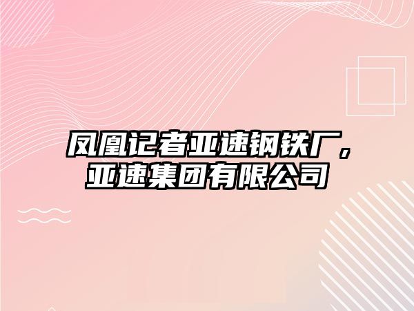 鳳凰記者亞速鋼鐵廠,亞速集團(tuán)有限公司