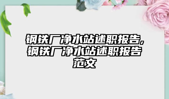 鋼鐵廠凈水站述職報(bào)告,鋼鐵廠凈水站述職報(bào)告范文