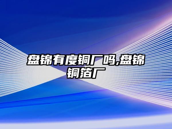 盤錦有度銅廠嗎,盤錦銅箔廠