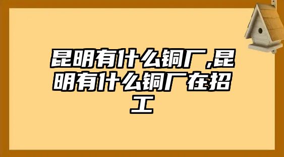 昆明有什么銅廠,昆明有什么銅廠在招工