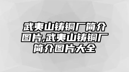 武夷山鑄銅廠簡介圖片,武夷山鑄銅廠簡介圖片大全