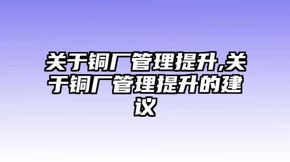 關(guān)于銅廠管理提升,關(guān)于銅廠管理提升的建議