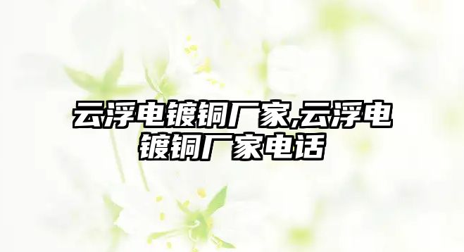 云浮電鍍銅廠家,云浮電鍍銅廠家電話