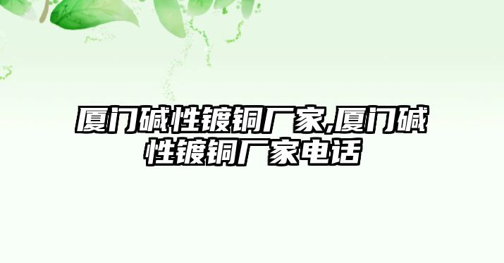 廈門堿性鍍銅廠家,廈門堿性鍍銅廠家電話