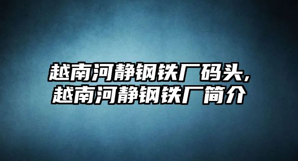 越南河靜鋼鐵廠碼頭,越南河靜鋼鐵廠簡(jiǎn)介