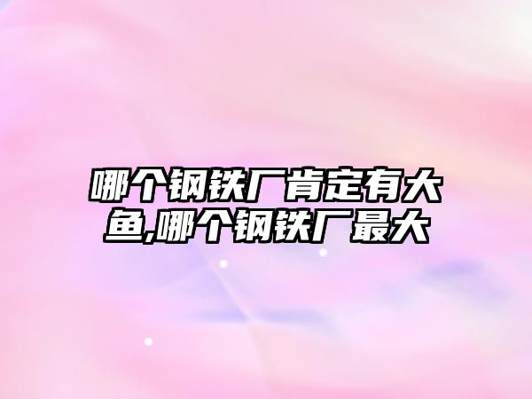 哪個(gè)鋼鐵廠肯定有大魚(yú),哪個(gè)鋼鐵廠最大