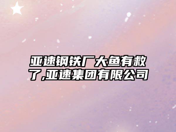 亞速鋼鐵廠大魚有救了,亞速集團(tuán)有限公司