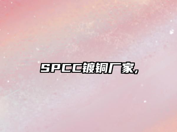 SPCC鍍銅廠家,