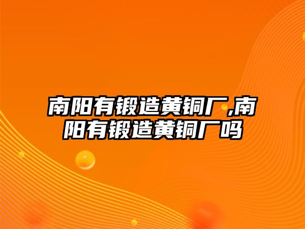 南陽(yáng)有鍛造黃銅廠,南陽(yáng)有鍛造黃銅廠嗎