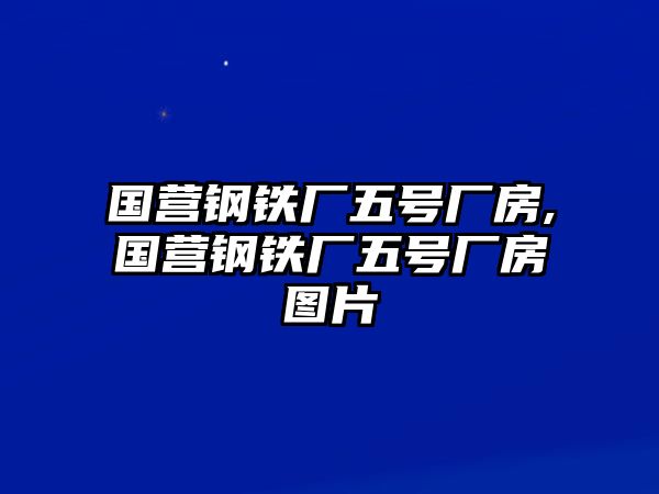 國營鋼鐵廠五號廠房,國營鋼鐵廠五號廠房圖片