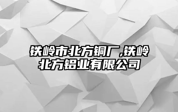 鐵嶺市北方銅廠,鐵嶺北方鋁業(yè)有限公司