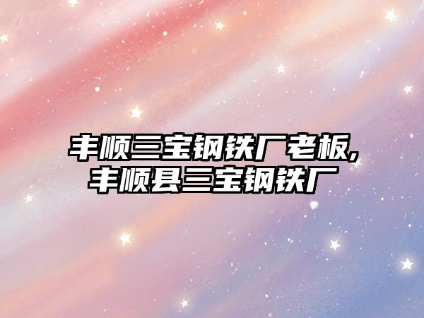 豐順三寶鋼鐵廠老板,豐順縣三寶鋼鐵廠