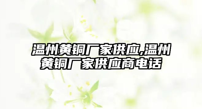 溫州黃銅廠家供應(yīng),溫州黃銅廠家供應(yīng)商電話