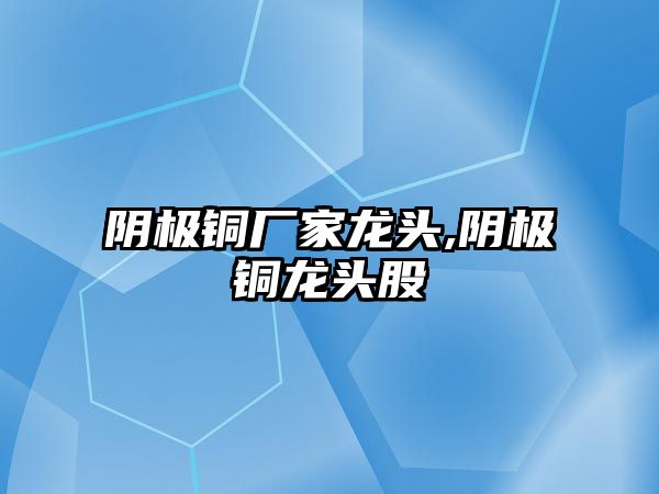 陰極銅廠家龍頭,陰極銅龍頭股