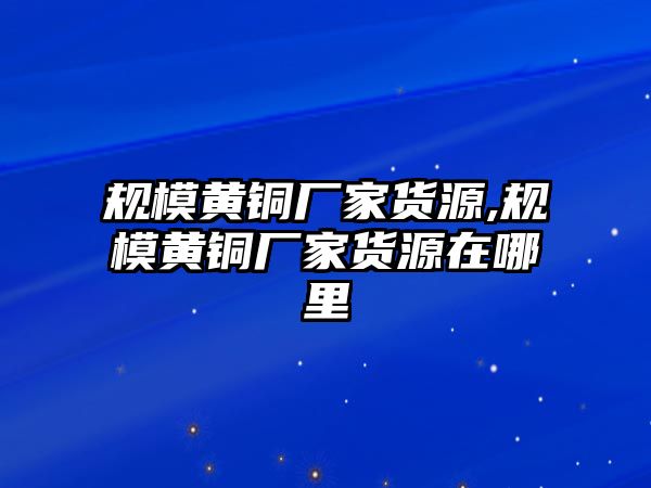 規(guī)模黃銅廠家貨源,規(guī)模黃銅廠家貨源在哪里