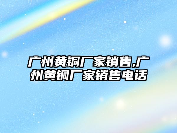 廣州黃銅廠家銷售,廣州黃銅廠家銷售電話