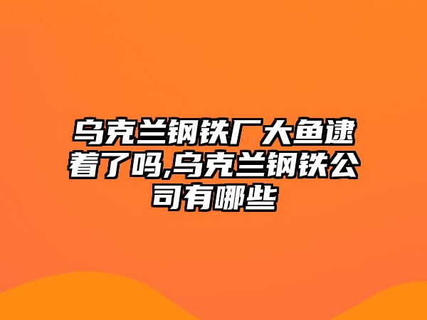 烏克蘭鋼鐵廠大魚(yú)逮著了嗎,烏克蘭鋼鐵公司有哪些